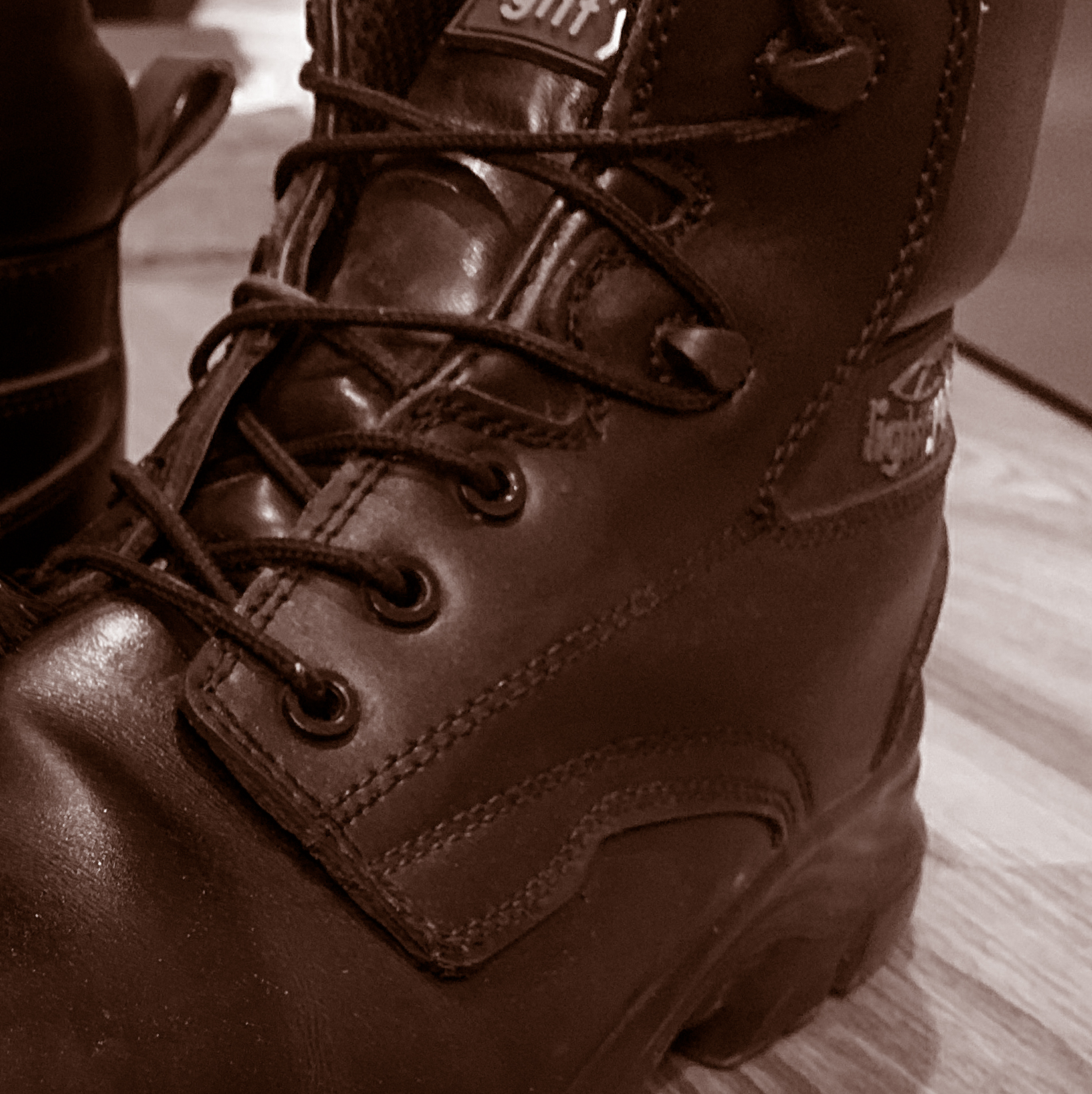 Birch Chunky Boot Laces